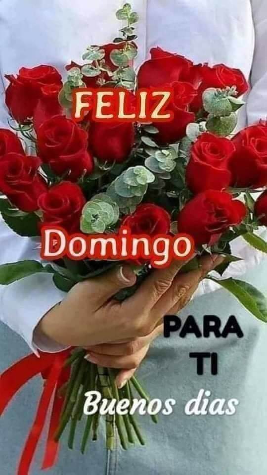 domingo con rosas