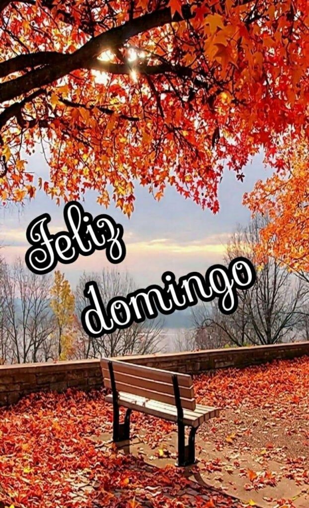 Que bue Domingo