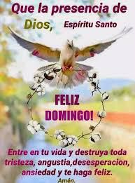 Feliz domingo