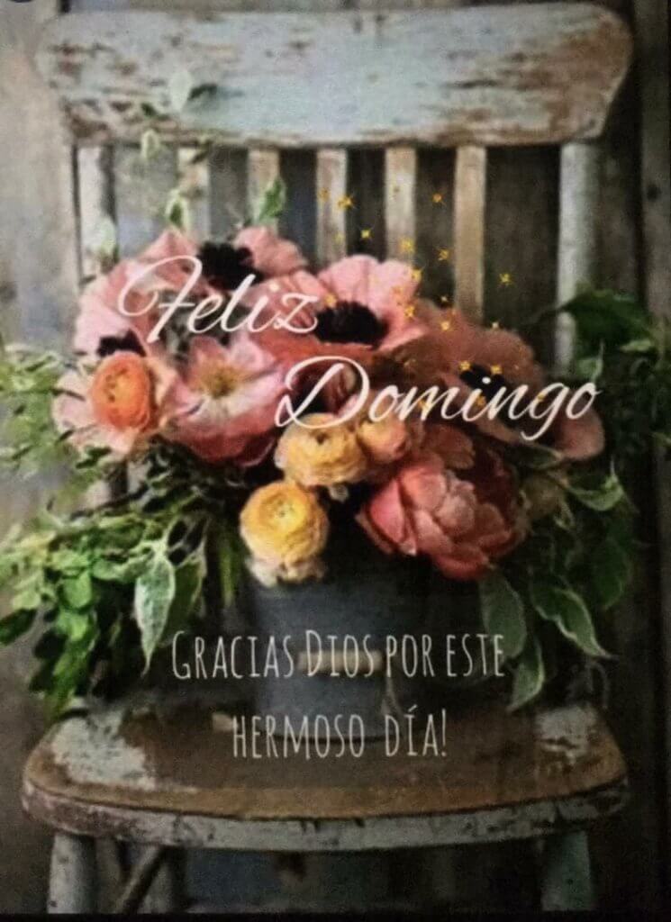 Feliz noche de domingo