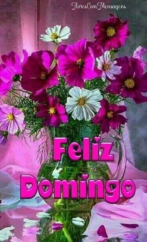 Domingo florido