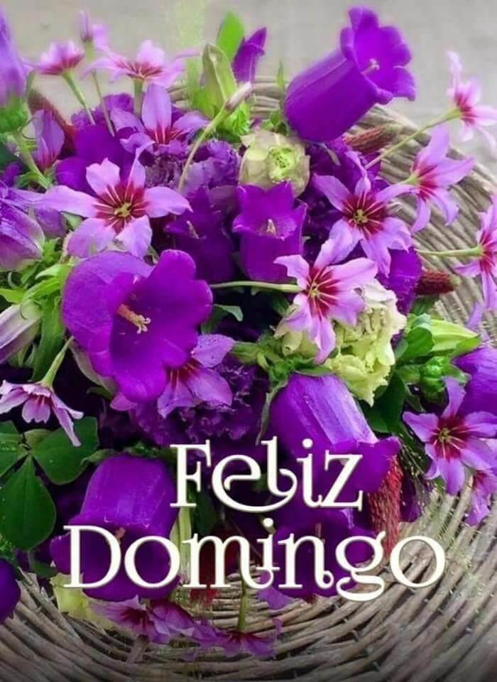 Feliz domingo