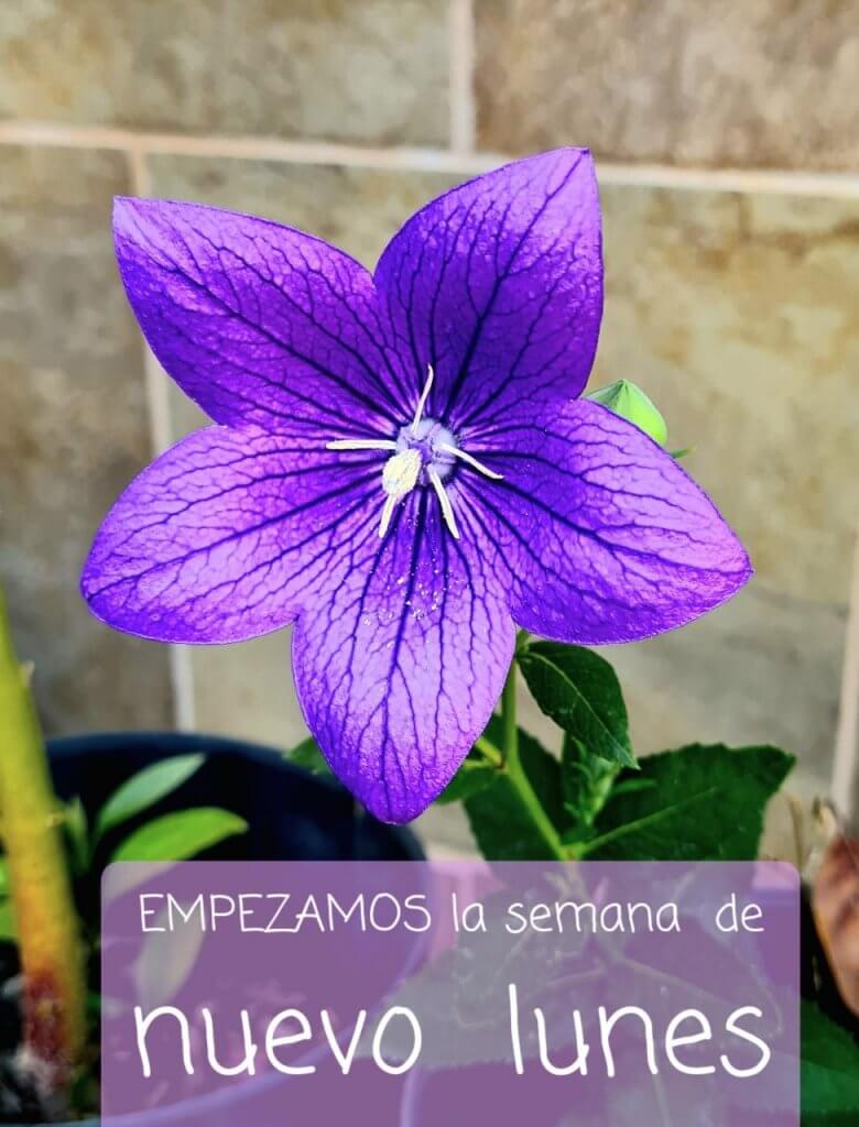 Empezamos la semana