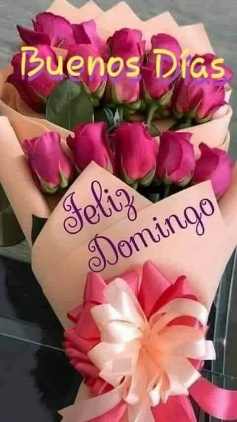 Lindo ramo para el Domingo