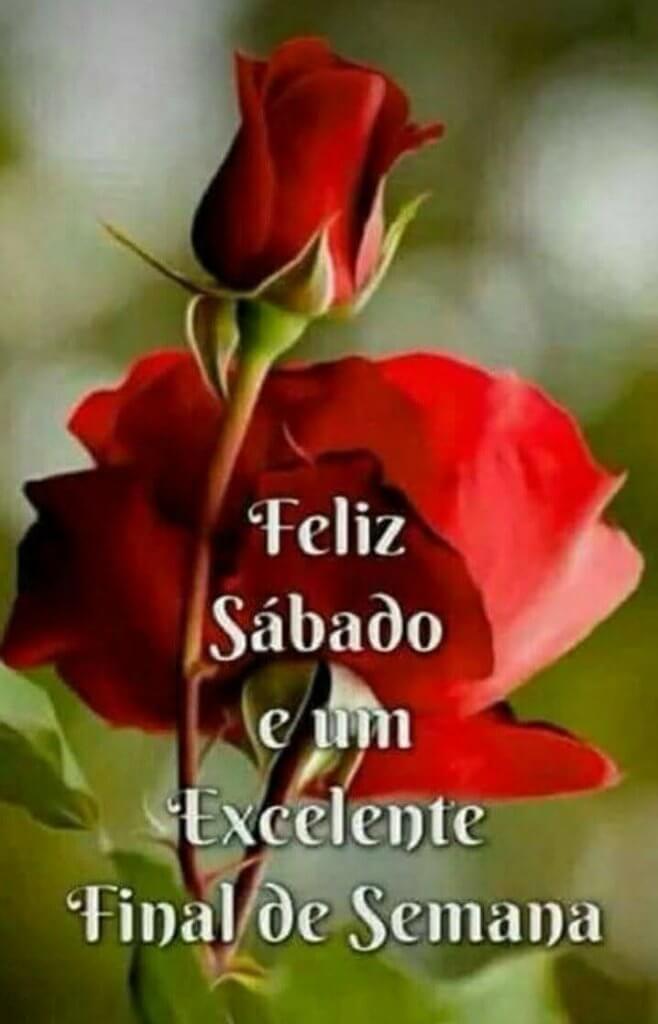 Fin de semana con rosas