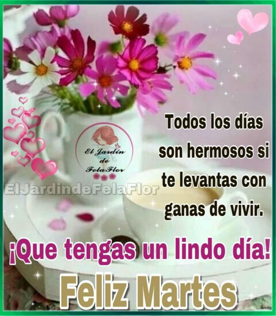 Que lindo dia con la ilucion