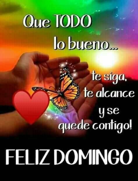 Feliz