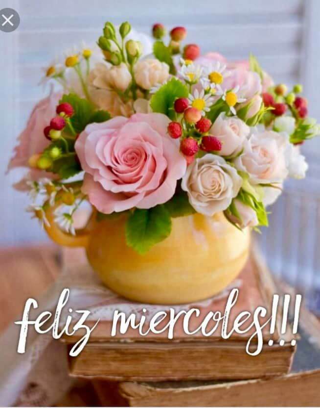 lindo miércoles