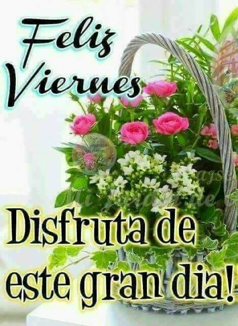 Flores del viernes