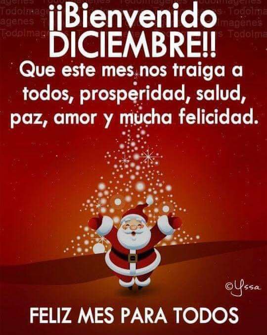 Feliz diciembre