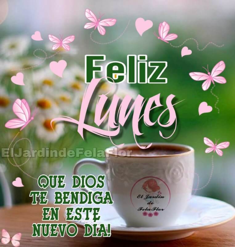 Felicitaciones