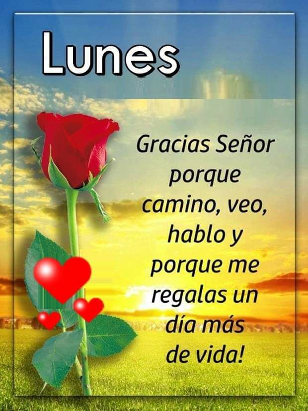 Lunes con rosa