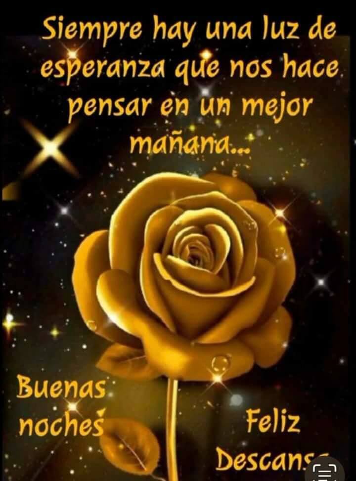 La rosa de la ilucion