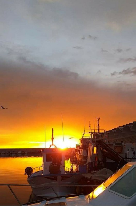 Fuengirola