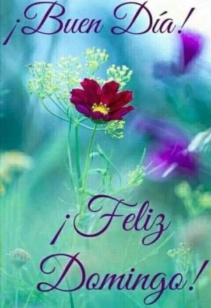 Feliz domingo lleno de color