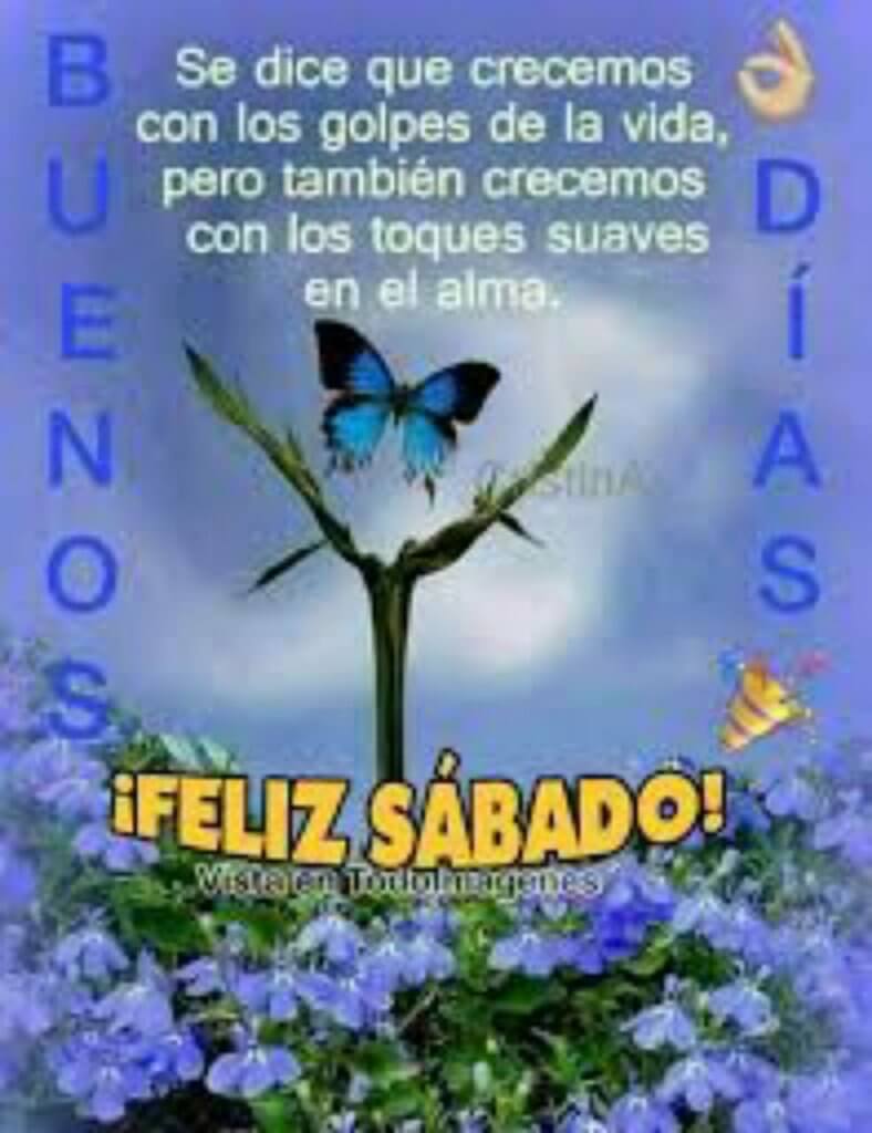 Feliz sábado pues buen fin de semana