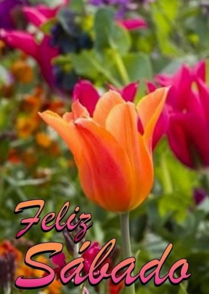 sábado feliz