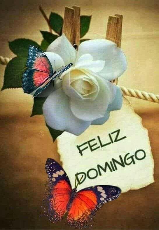 Feliz Domingo en compañía