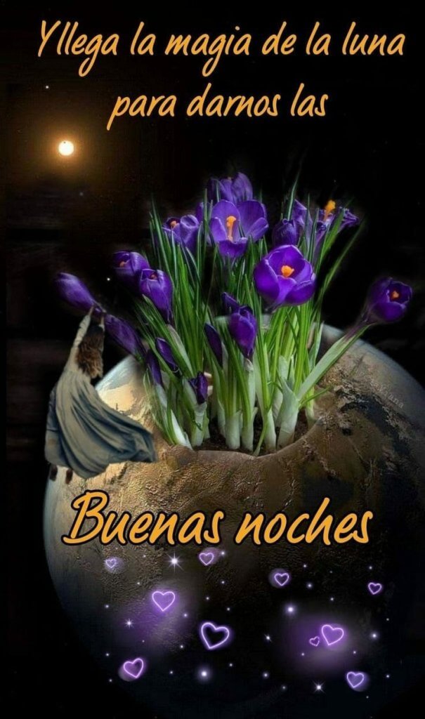 Los lirios de sueños