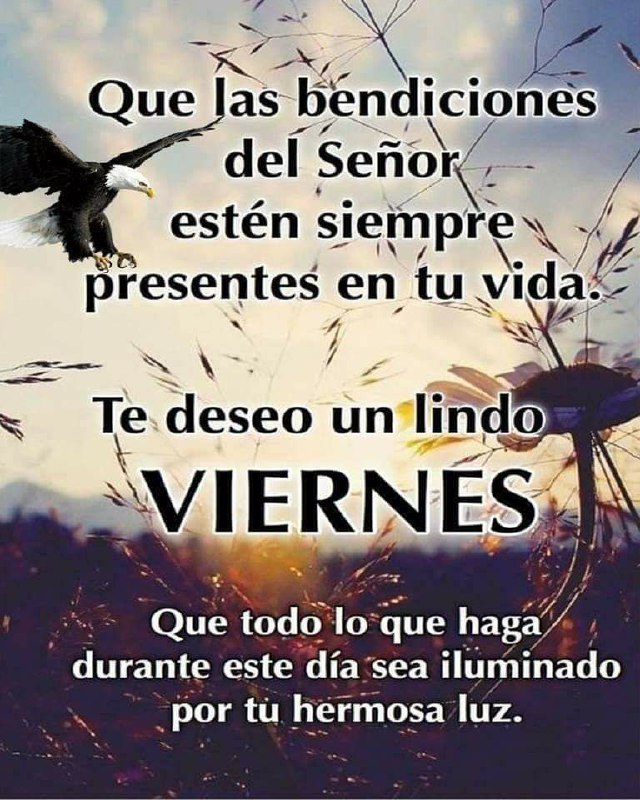 Feliz dia de la semano