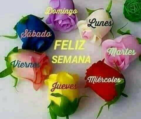 las rosas de colores
