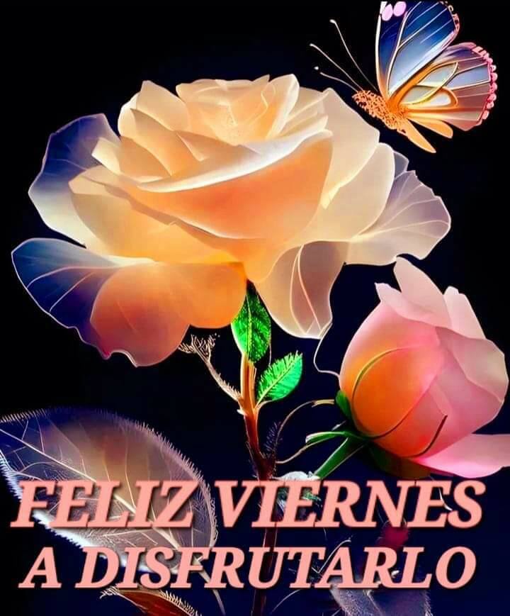 Rosas trasparentes
