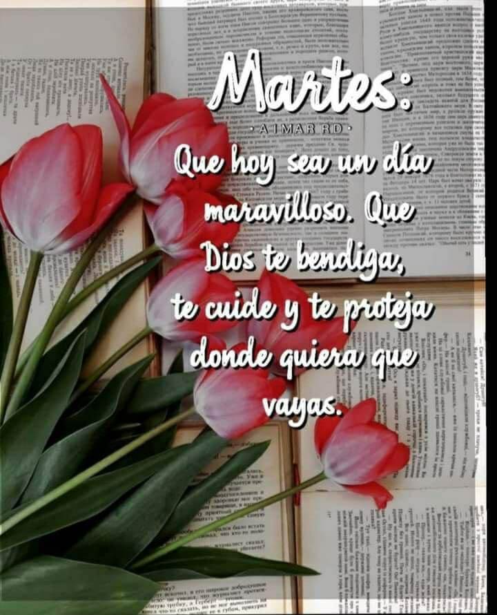 Ilucion de el marte