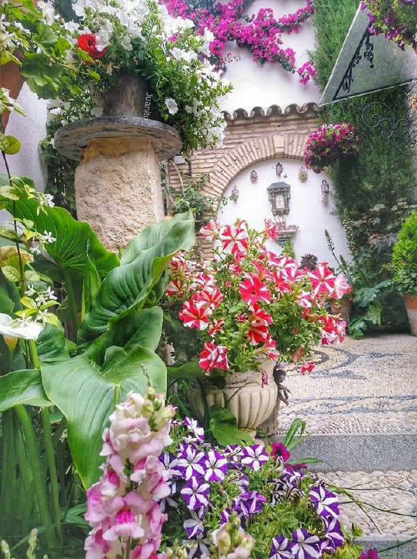 Los Patios de Cordoba