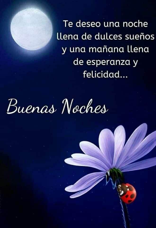 La noche con flores
