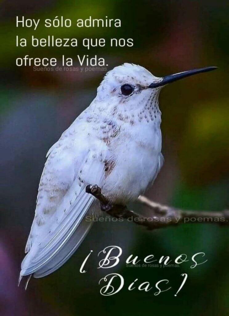La belleza que nos ofrece la vida