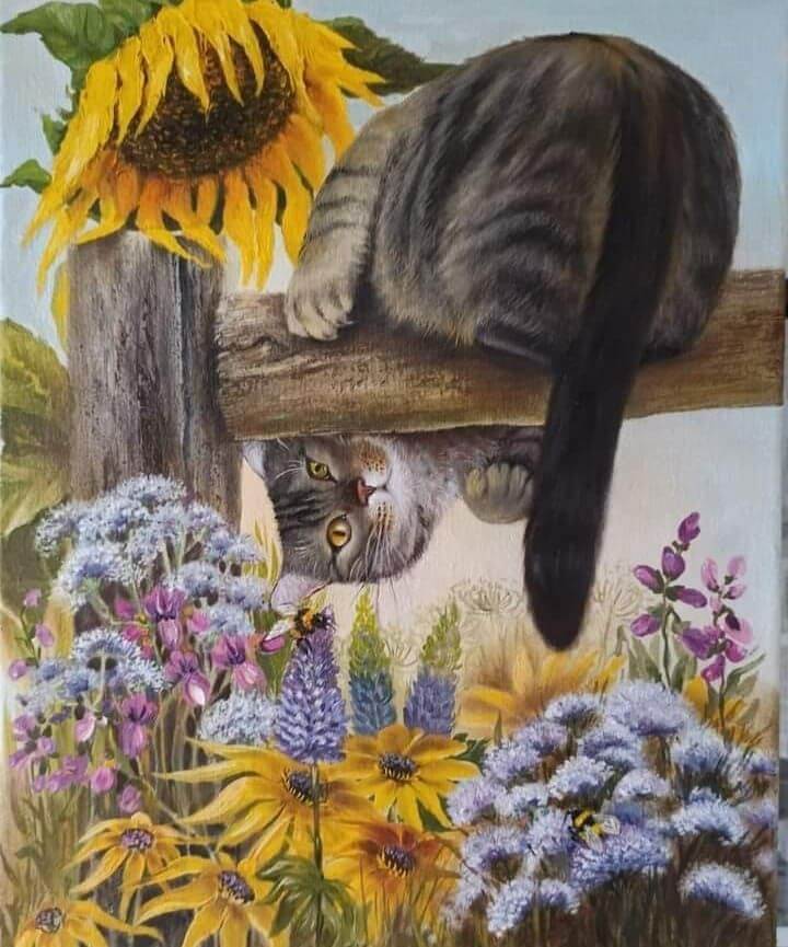 el gatito juguetón